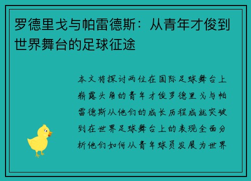 罗德里戈与帕雷德斯：从青年才俊到世界舞台的足球征途